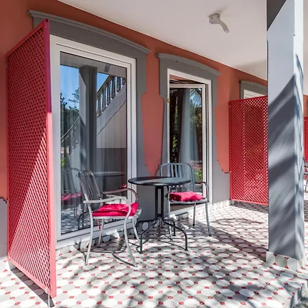 Отель Camelia Boutique House