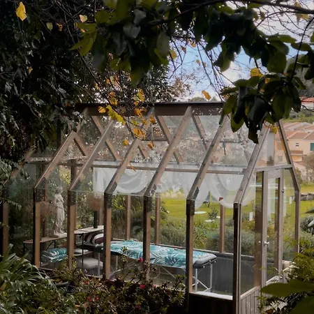 Camelia Boutique House Hotel