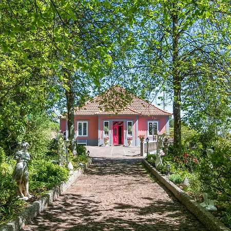 Hotel Camelia Boutique House Camacha (Madeira)