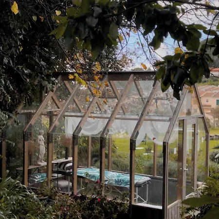 Camélia Boutique House * Camacha (Madeira)